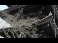 京都観光ー八坂五重塔