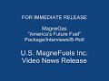 Alternative fuel Magnegas