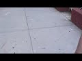 MOV020.MOD zenon w N.J