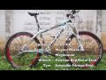 Making of Bianchi Pulse