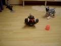videos de aibo