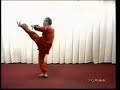 SZJ Baguazhang Basic Kicking Method