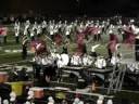 Medina Musical Bees