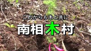 カラマツのある村