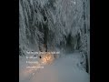 Snow chase - Gorski Kotar & Sneznik Snow chase - Gorski Kotar & Sneznik