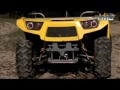 YMC SPARTAN 500cc 4X4 Buggy