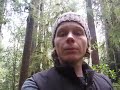 OnTheRoad: Redwoods to Sand Dunes