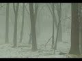 OFFICIAL BIGFOOT SIGHTING!! OFFICIAL BIGFOOT SIGHTING!!