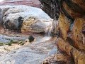 Flash Flood in Canyonlands National Park