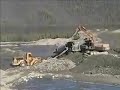 Gold prospecting
