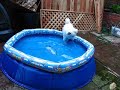 kismet pool 1
