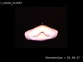 this is a test for a music video for german dj reinhard voigt it uses the photobooth technology and provides a stunning array of twisted skin aliens and floating creatures. pretty dark and pretty artsy - but the best is that it always creates new thoughts.