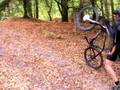 dans la foret de sourdun, la chute n'est jamais bien loin ^^