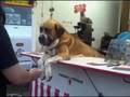 Jul 21 2007 - VID00047