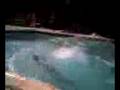 swimming bike