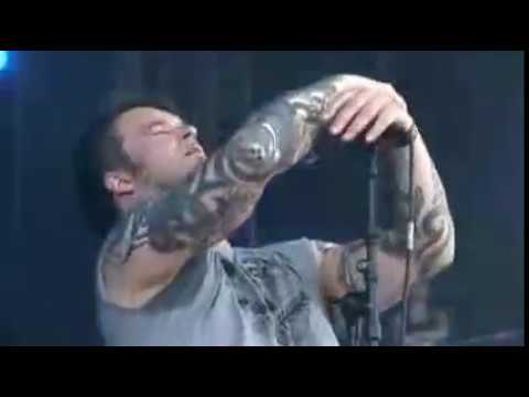 Illdisposed - Illdisposed, Melodic Death Metal, With Full Force, 2008.