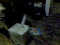 serena gagno drunk stuck on a box