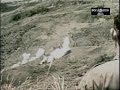 battle of ia drang   hd