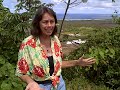 Aloha Healing Women 9 http://www.healthretreats.info Aloha Healing Women 9 http://www.healthretreats.info