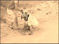 salta!!