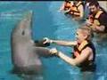Messege of Love and Freedom from the Sirian Dolphins 〰︿︽︿〰