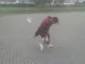 Dale new skill