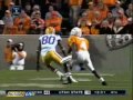 LSU 2006 Review and 2007 Sugarbowl preview LSU 2006 Review and 2007 Sugarbowl preview