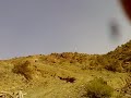 يتبع الجيب الشنب مشاءالله قوة ومتانه وتحدي للطبيعه الجبليه حميم غامد الله يوفق راعيه