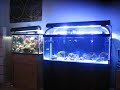 Firing up Metal Halides fixture. Firing up Metal Halides fixture.