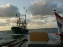Anita assisteerd UK 73 \"Frisian\" Anita assisteerd UK 73 \"Frisian\"