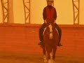 Pat riding Bernie2