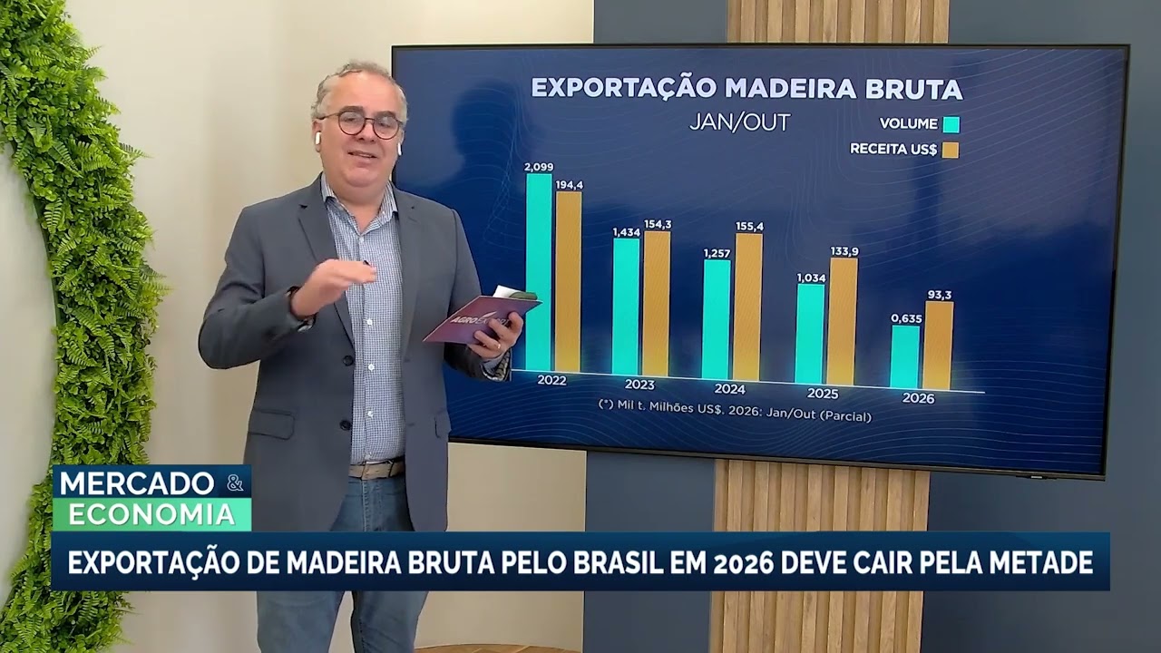Exportação de madeira bruta pelo Brasil em 2026 deve cair pela metade