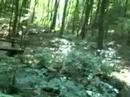 Un guado ed una piccolissima cascatella sul sentiero dall'ossario al villaggio TONOKOV GRAD. Un minifilmato ripreso (con la macchina fotografica digitale) domenica 8 luglio 2007, facente parte di una serie di video della gita il cui resoconto si può leggere su http://ferrimarco.blogspot.com