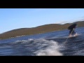 Boat ride - 360 in the AIR Boat ride - 360 in the AIR
