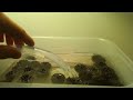 DIY aquarium fish tank BIO FILTER DIY aquarium fish tank BIO FILTER
