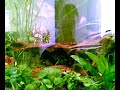 aquarium aquarium