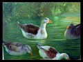 Maneco Ara�jo mostra suas pinturas