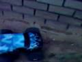 stock wheelie king 4x4 crawling