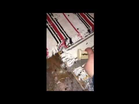 Ninja und Loony spielen mit der Holzrassel