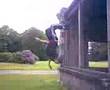 videos de allan en mode salto