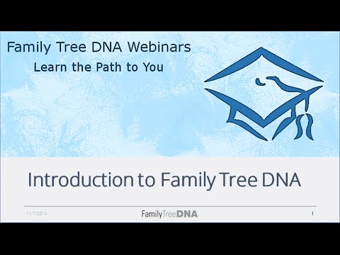 how to family tree