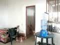 vivora fundillera en punchislandia