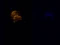 Flor - Jazmin en Plasma