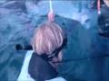 -100m Freedive by Ryuzo 　フリーダイバー篠宮龍三　水深１００ｍ達成