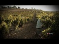 Bodegas Dominio de Berzal viñedo. ILOVEWINE
