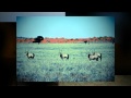 Southern Namibia road trip - YouTube