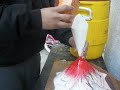 yami's and ish's super volcano