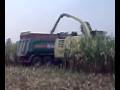 Krone Big X  V8     insilato mais 2008