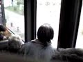 Idiot in the bus