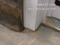 Carpenterant treatment using Drione Dust
